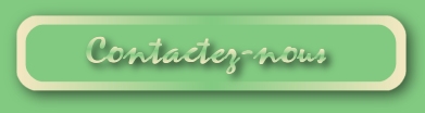 contactez nous